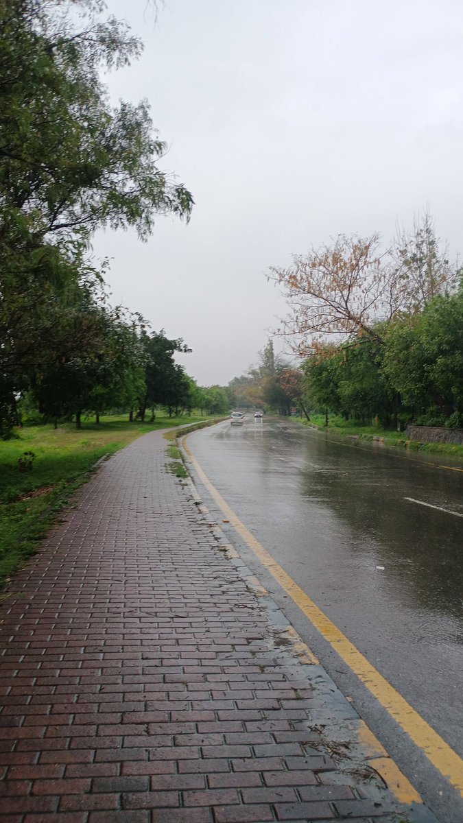 Azee🕷️ tweet media