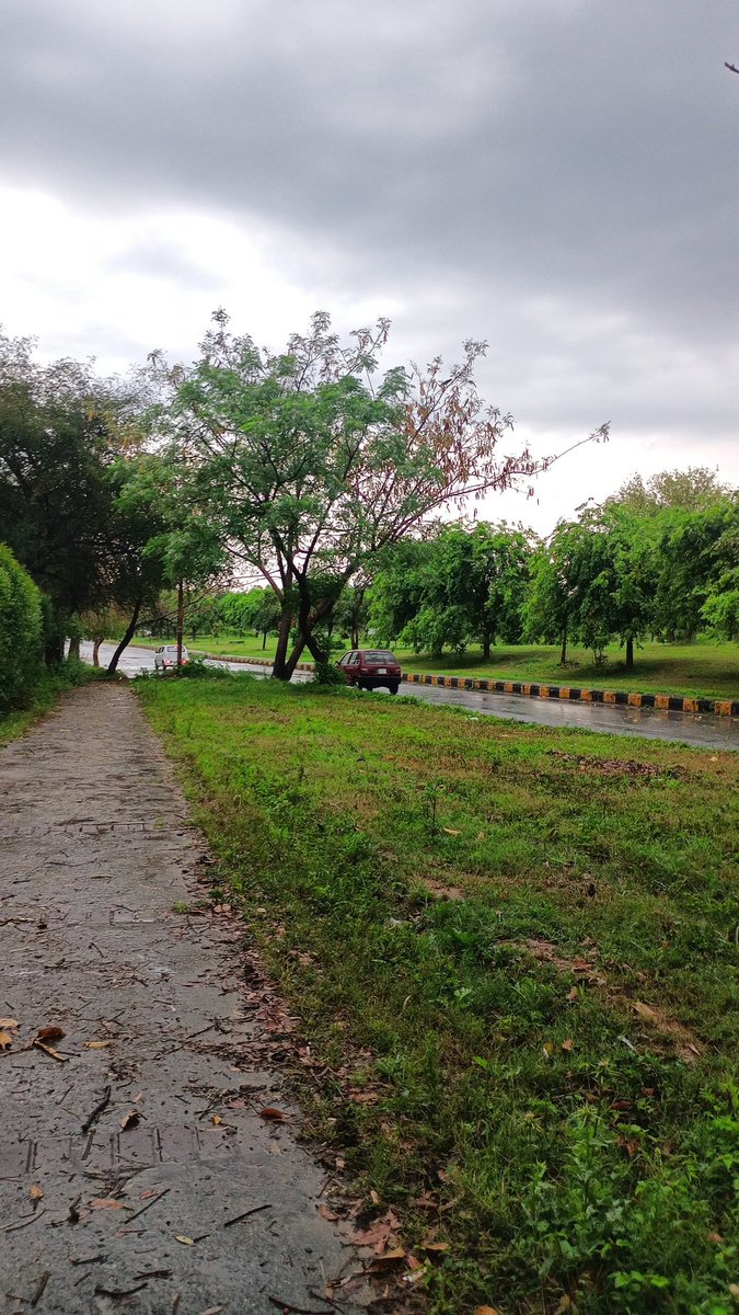 Azee🕷️ tweet media