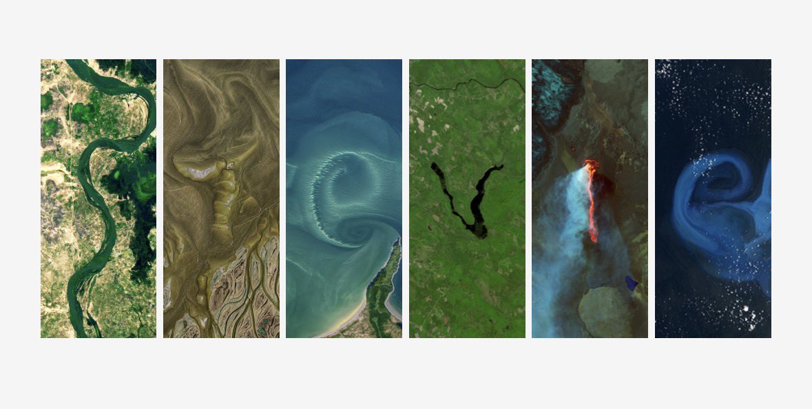 stevie 🇵🇸 tweet media