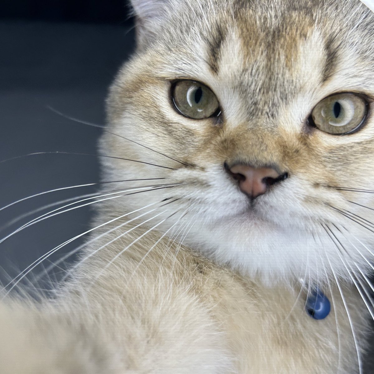 daiseehue's tweet image. #selfie