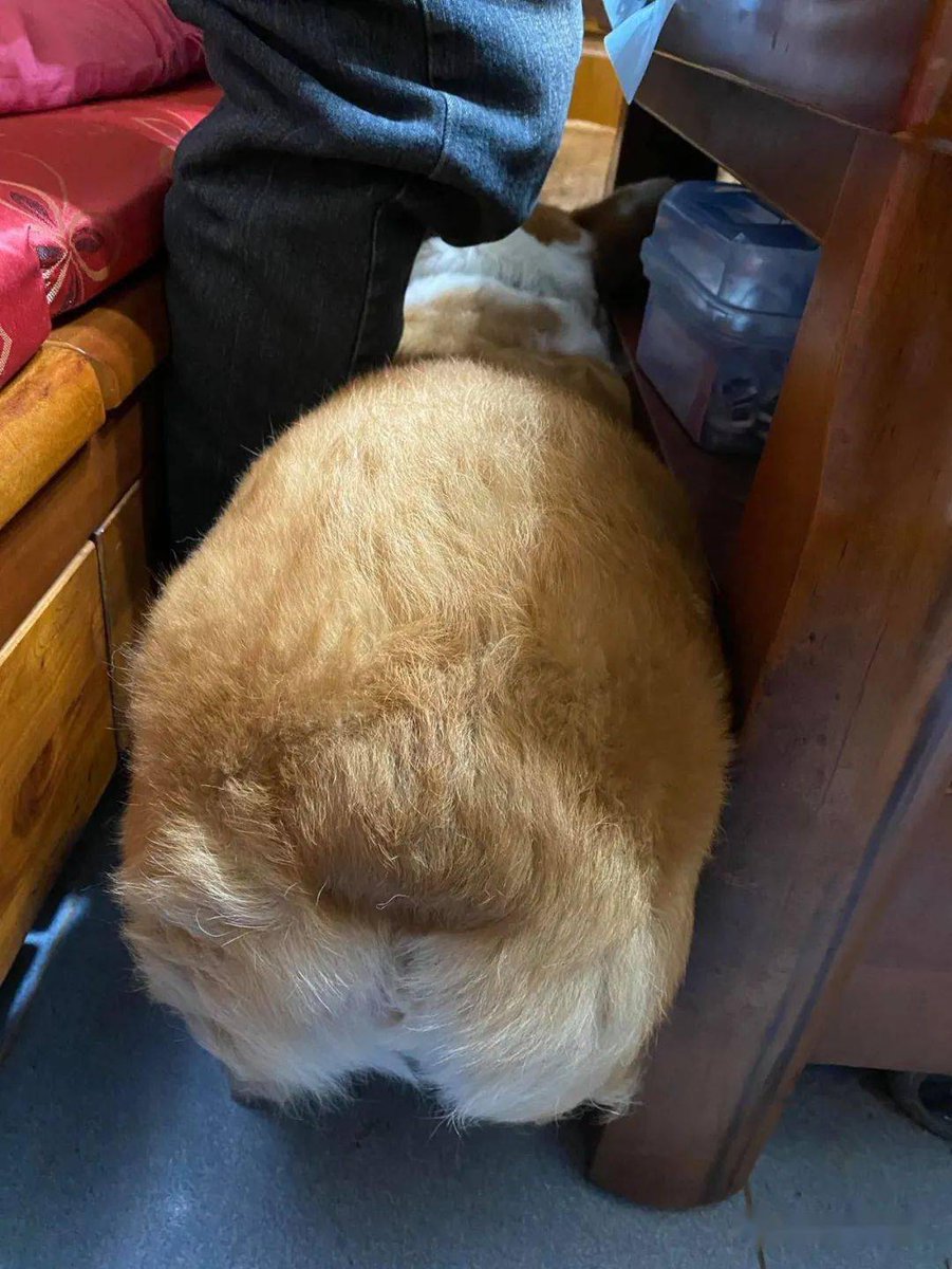 surya nadhi tweet media