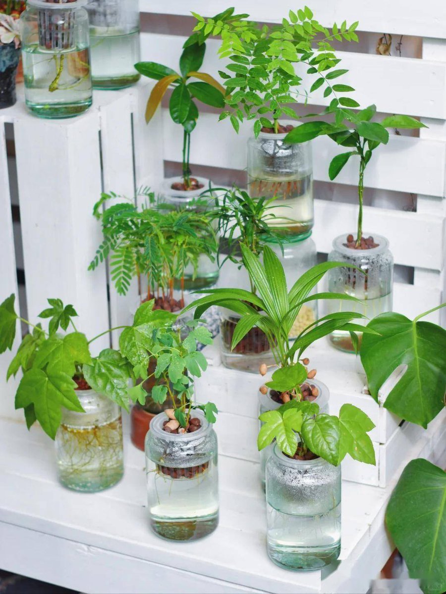 Henk van Egmond tweet media