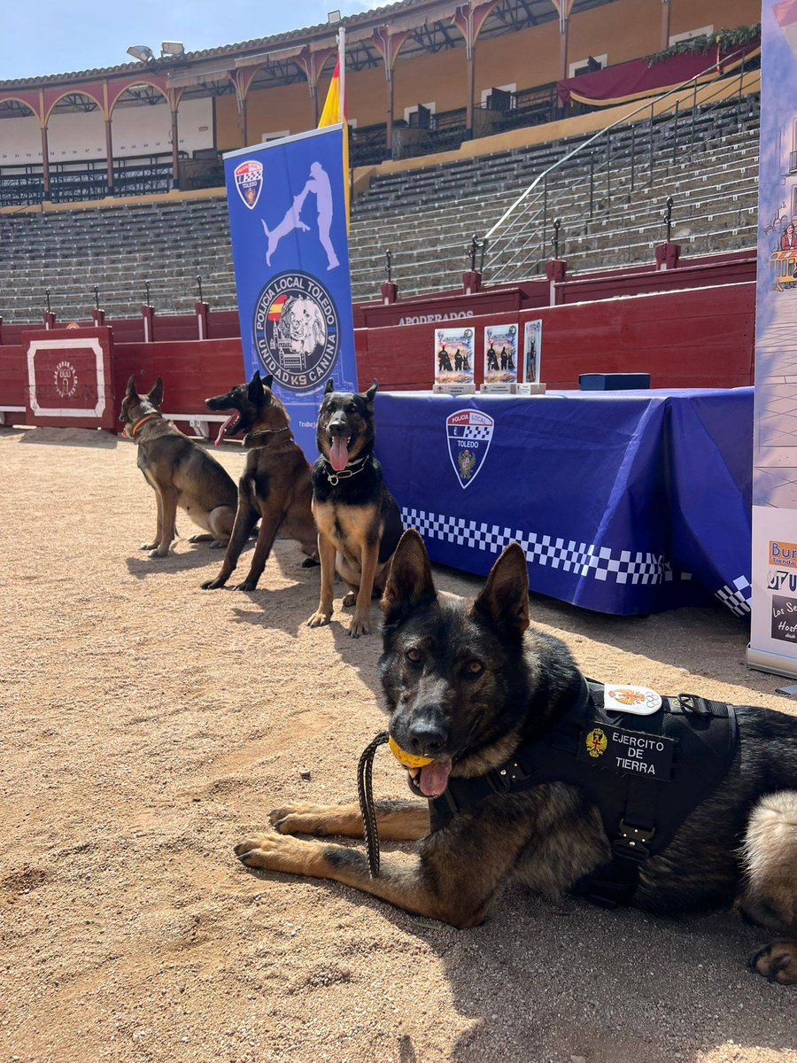 Ejército de Tierra 🇪🇸 tweet media