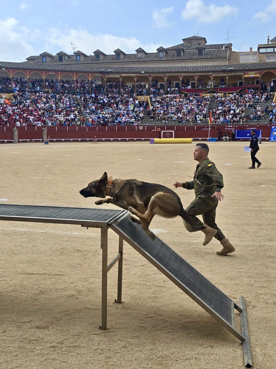 Ejército de Tierra 🇪🇸 tweet media
