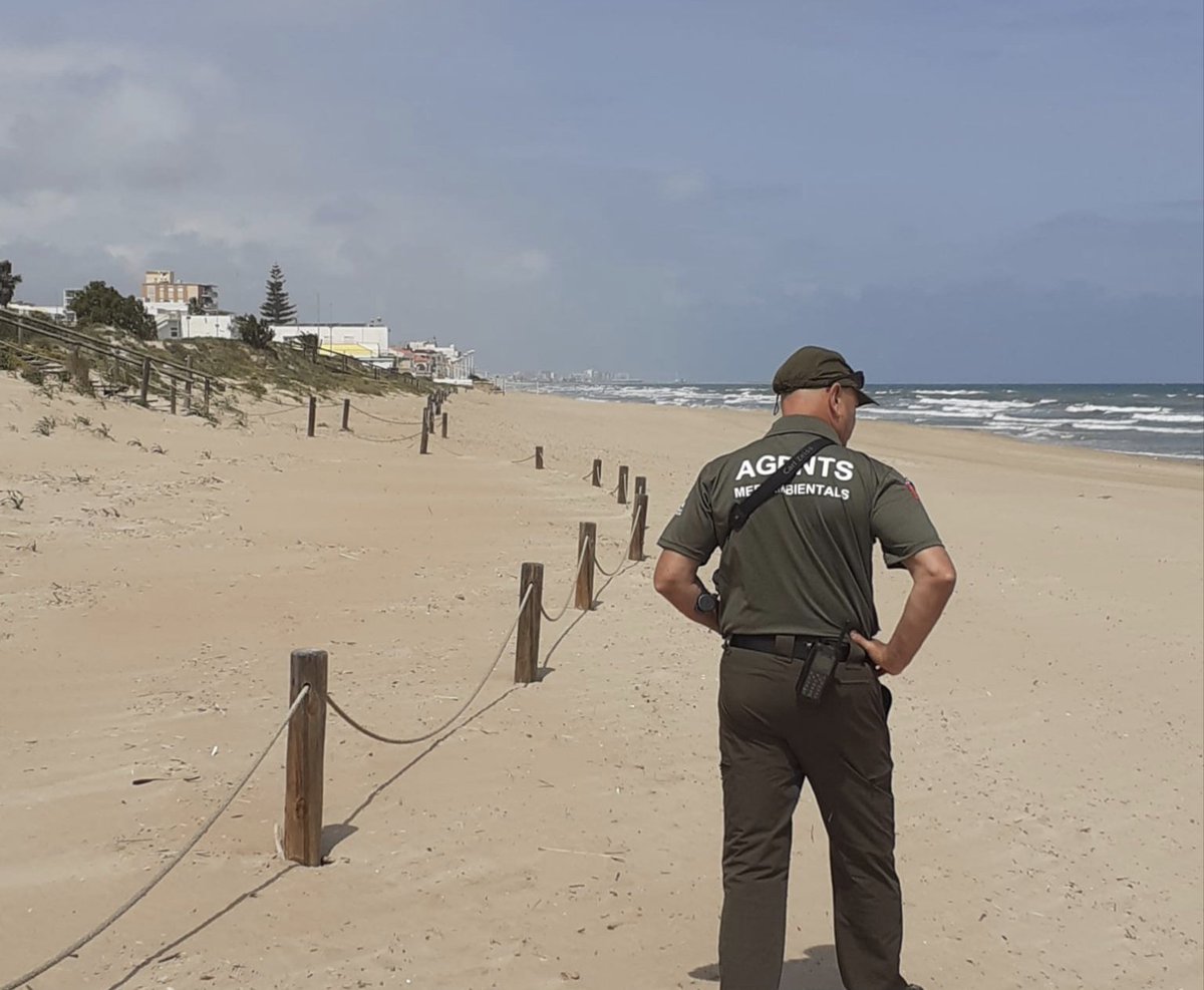 AGENTES APAMCV tweet media