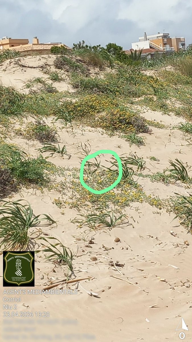 AGENTES APAMCV tweet media