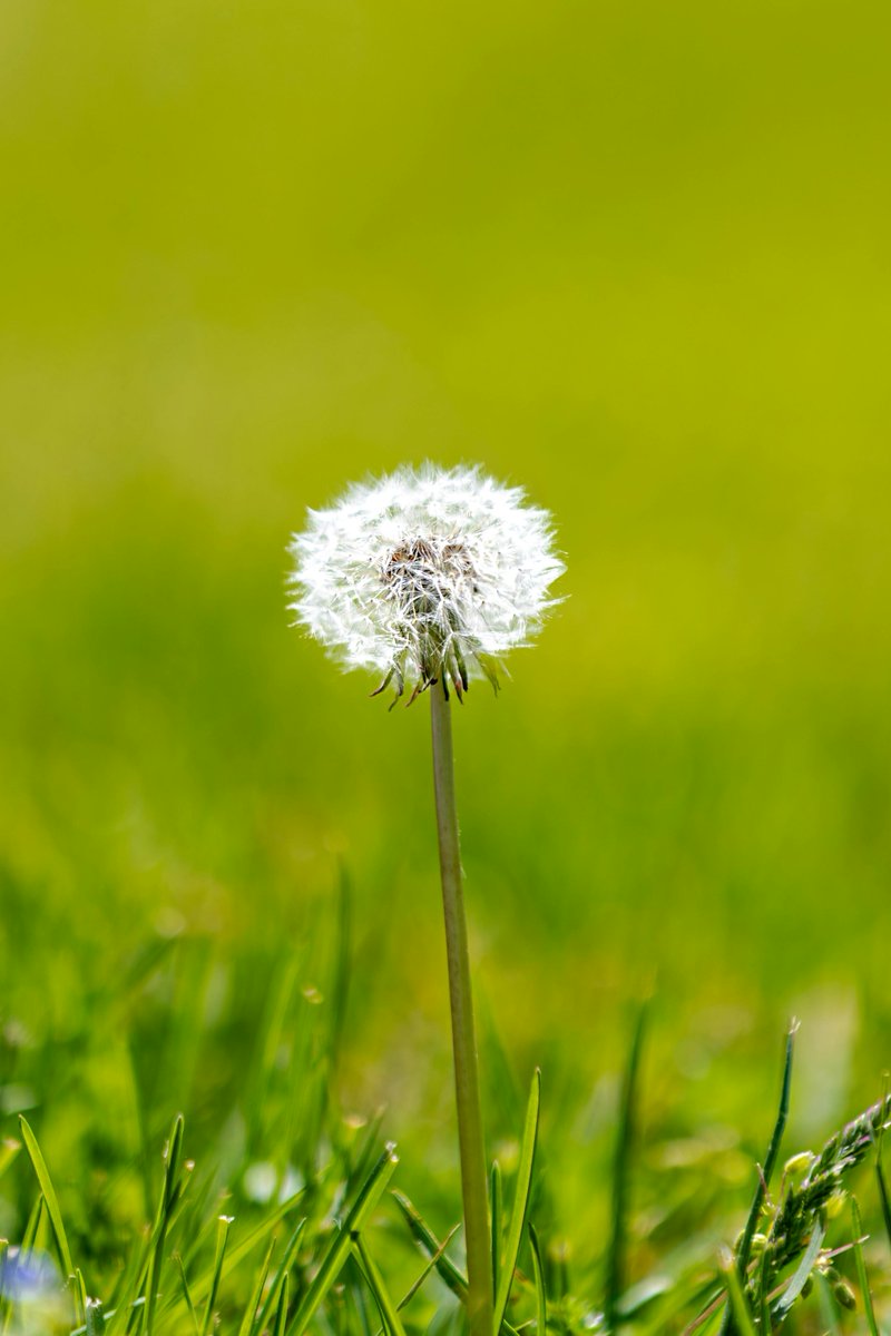 Alayah  Lowe tweet media