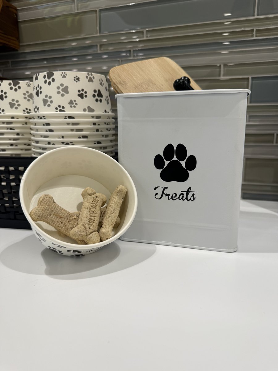 HyundaiLeander's tweet image. Meet Sunny, proof that everyone is welcome here, even the scaly VIP's!
So whether your co-pilot has paws, claws, or scales, bring them along. We love meeting your whole crew!
#Hyundai #HyundaiLeander #PetFriendly #BeardedDragon #ShowroomStars #SunnyTheDragon #AllAreWelcome