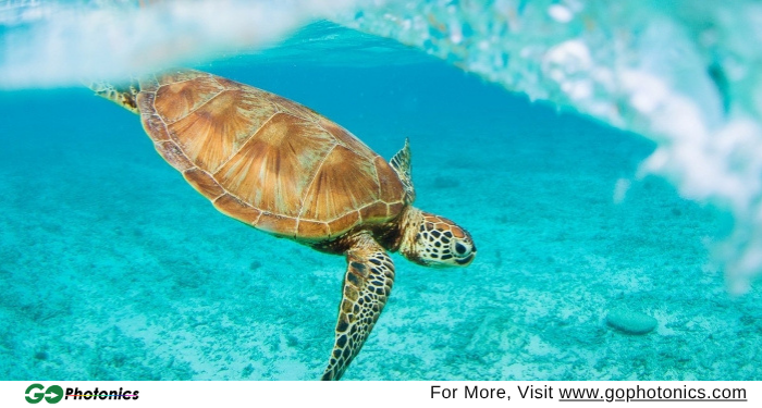 gophotonics's tweet image. 🌊 Can light reduce by-catch in fishing? Turns out - it can.

💡 Howhow UV LEDs help:
• Make fishing nets more visible to marine species
• Reduce unintended by-catch without affecting target catch

👉 Discover how: ow.ly/iUPw50YOlrc

#Fishing #Nets #UV #LED #Radiation