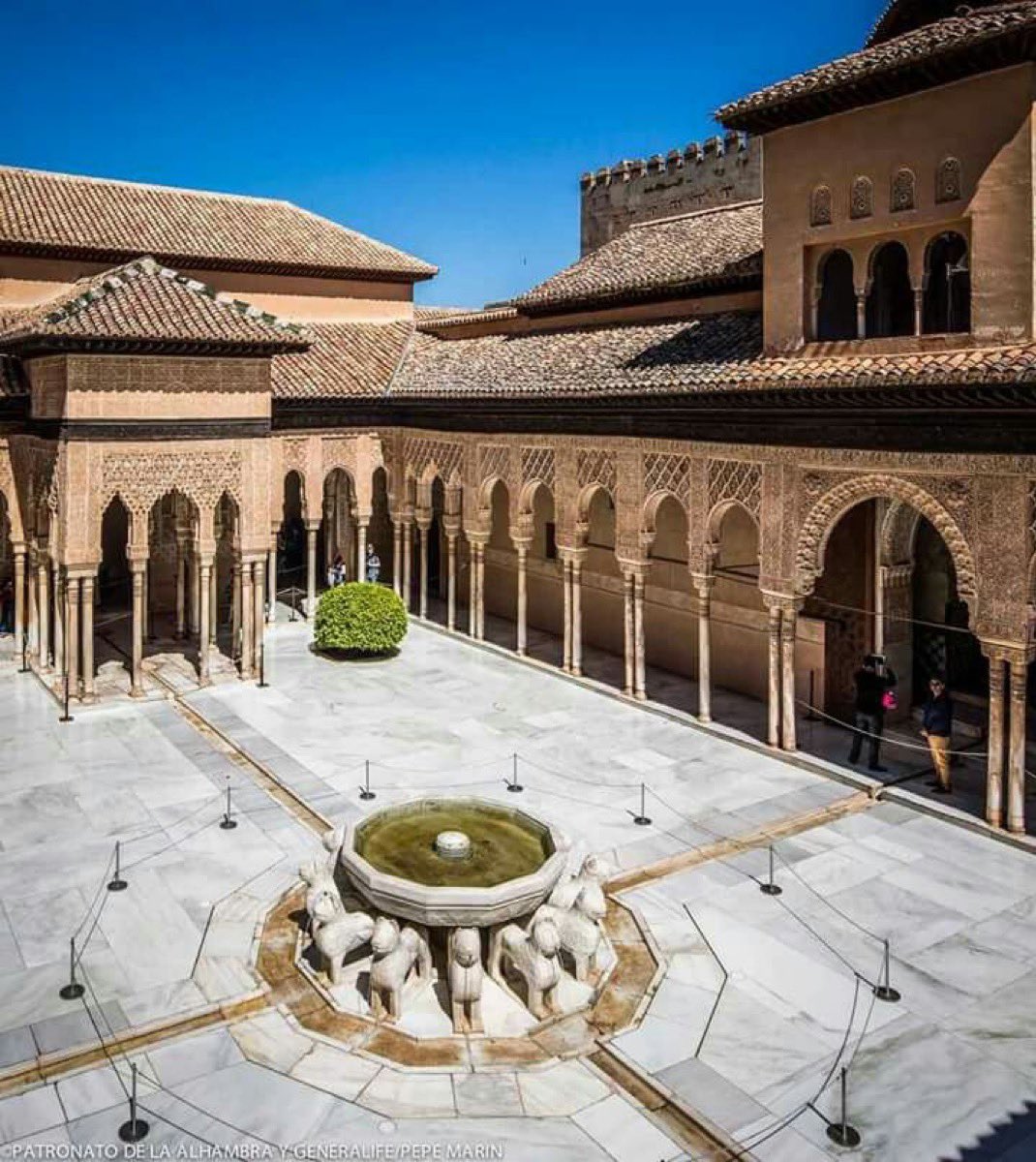 Youssef Aabou tweet media