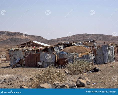 DogProtector23's tweet photo. @JoshHall2024 She's always going on about how much she misses her beautiful Somalia and wishes she could go back. Wish granted! https://t.co/VZk62mRc4x