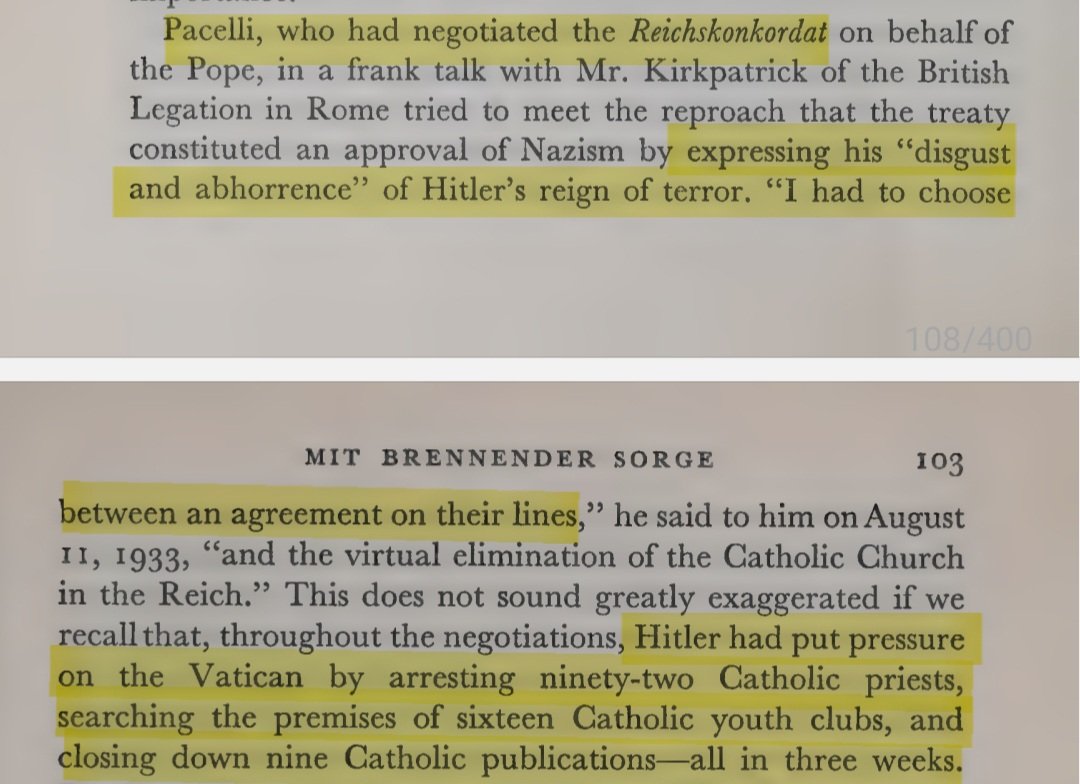 Abelhoso tweet media