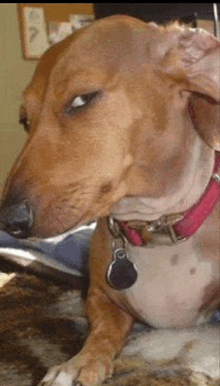 Black Ghost tweet media