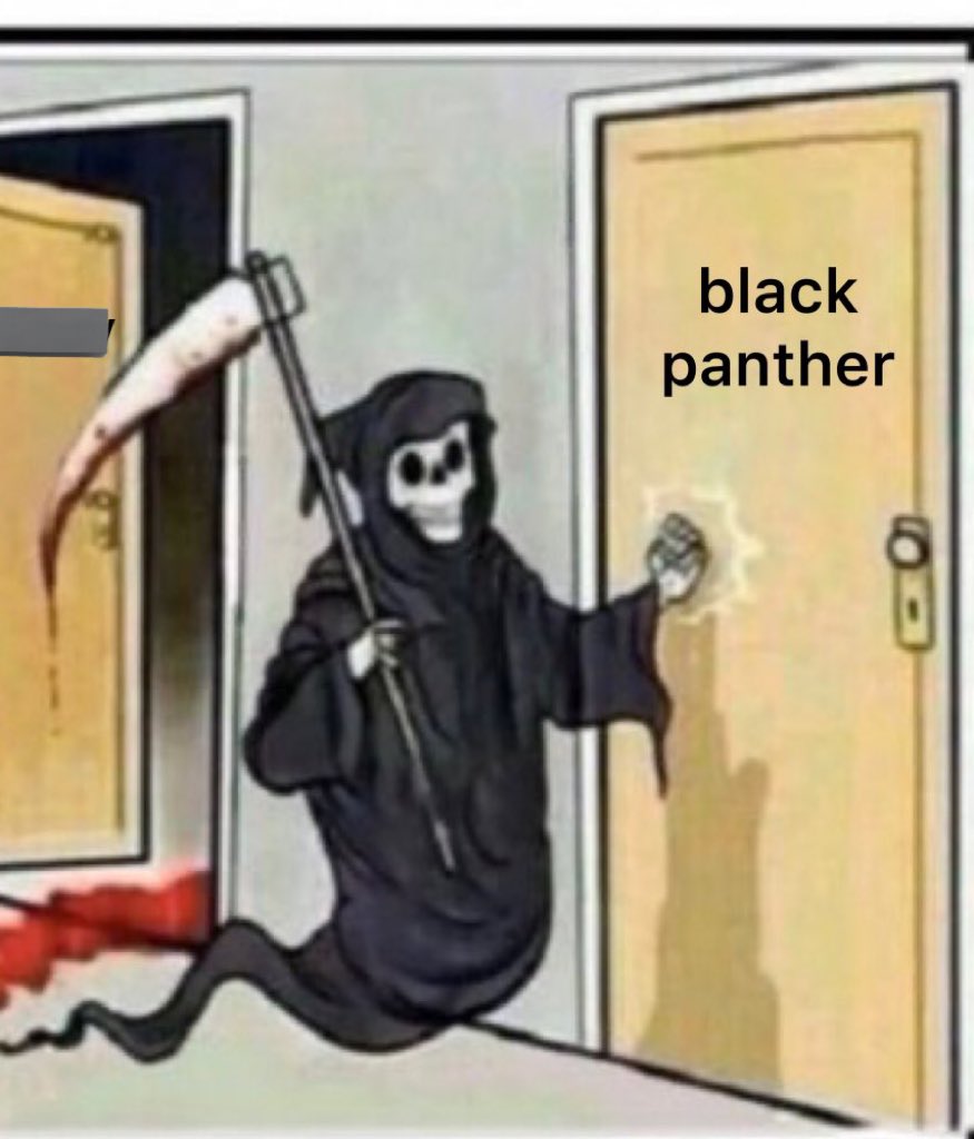 BlackPanther👖 𓃵 tweet media