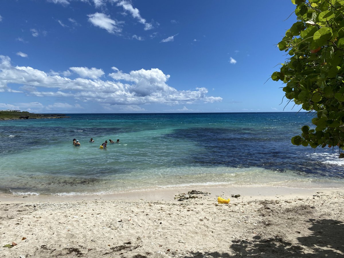 jamesdpeavy's tweet photo. Took a break from studies to enjoy the beach and we were visited by manatees while snorkeling in Bayahibe https://t.co/IpndI5SMC2
