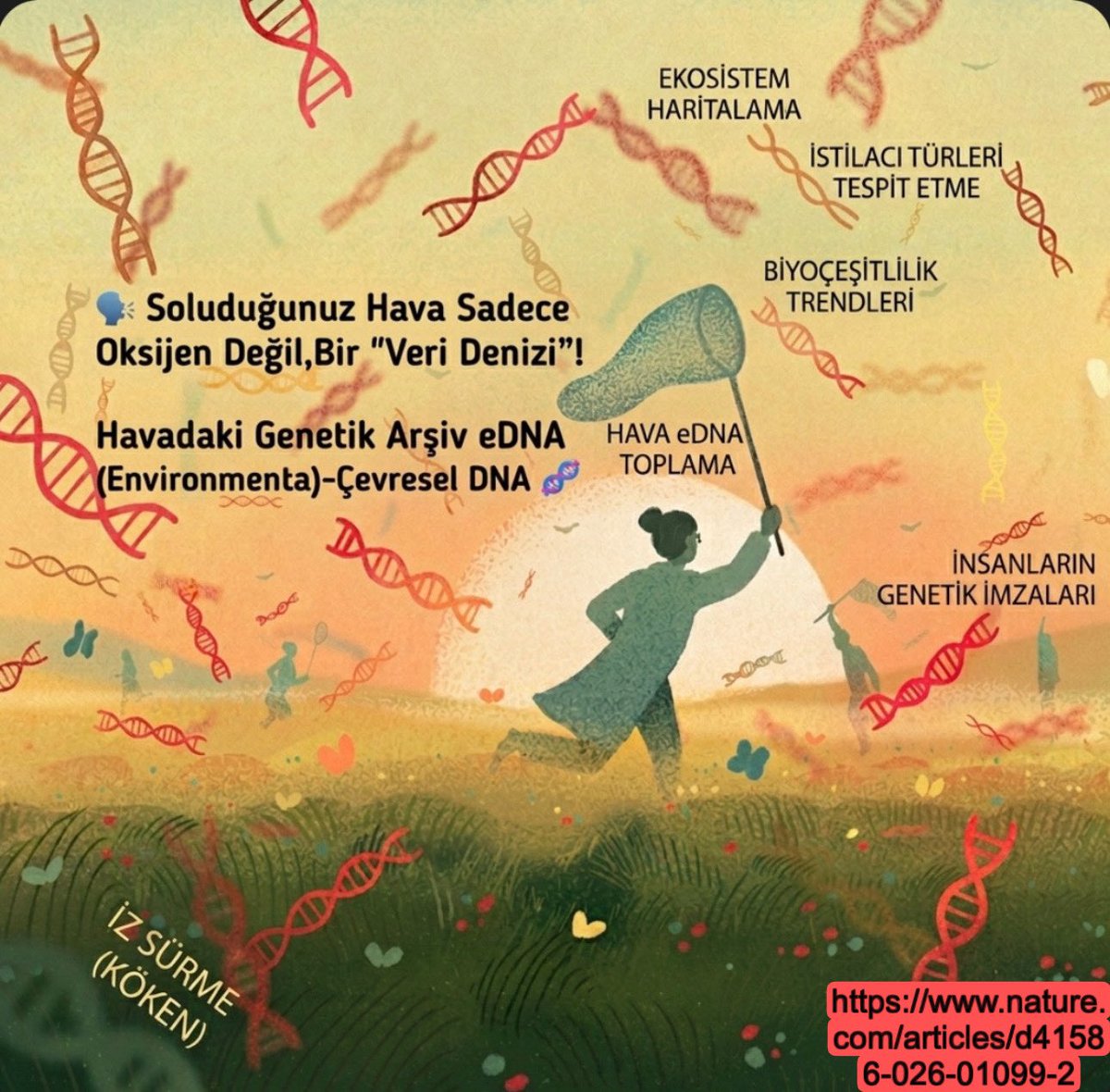 #Bilim #Biyoloji #Kuantum 

🌬️ Soluduğunuz Hava Sadece Oksijen Değil, Bir "Veri Denizi"! 

Havadaki Genetik Arşiv eDNA (Environmental DNA)-Çevresel DNA 🧬 ile Tanışın

Aldığınız her nefeste, aslında etrafınızdaki ekosistemin "genetik kodlarını" da içinize çekiyorsunuz. Bilim
