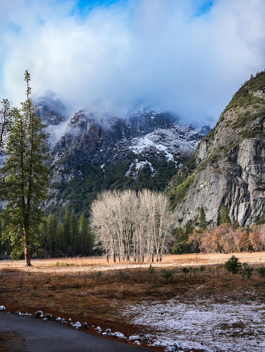 Tavo ovando tweet media