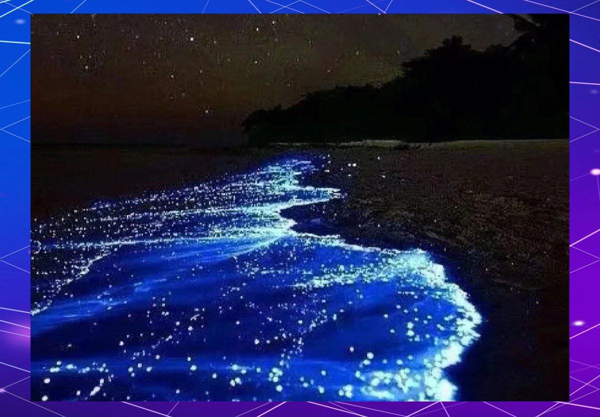 achraf akhmirach tweet media