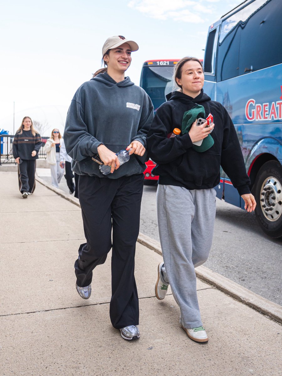 Toronto Sceptres tweet media