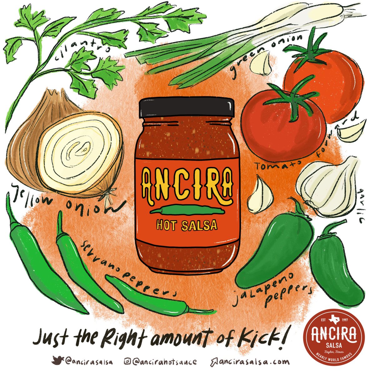 Ancira Salsa tweet media