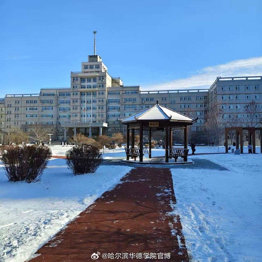 Ivá Aima tweet media