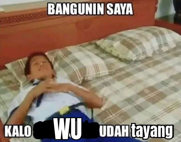 lilu˙ᵕ˙ tweet media