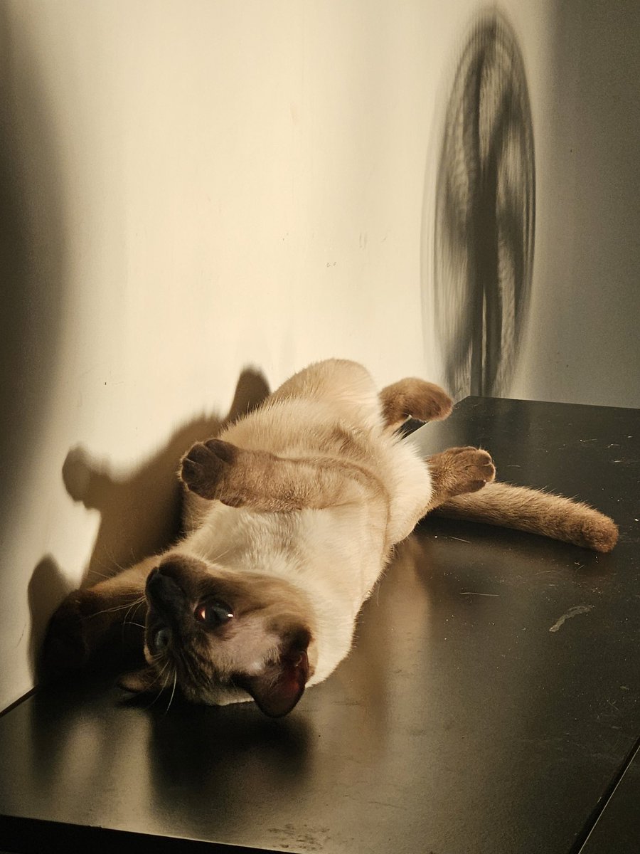 NOthoughts here tweet media