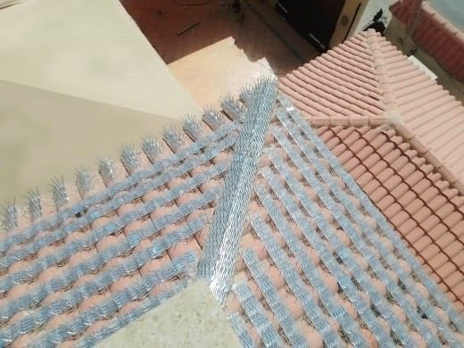 شركة تركيب طارد شبك الحمام بالرياض tweet media