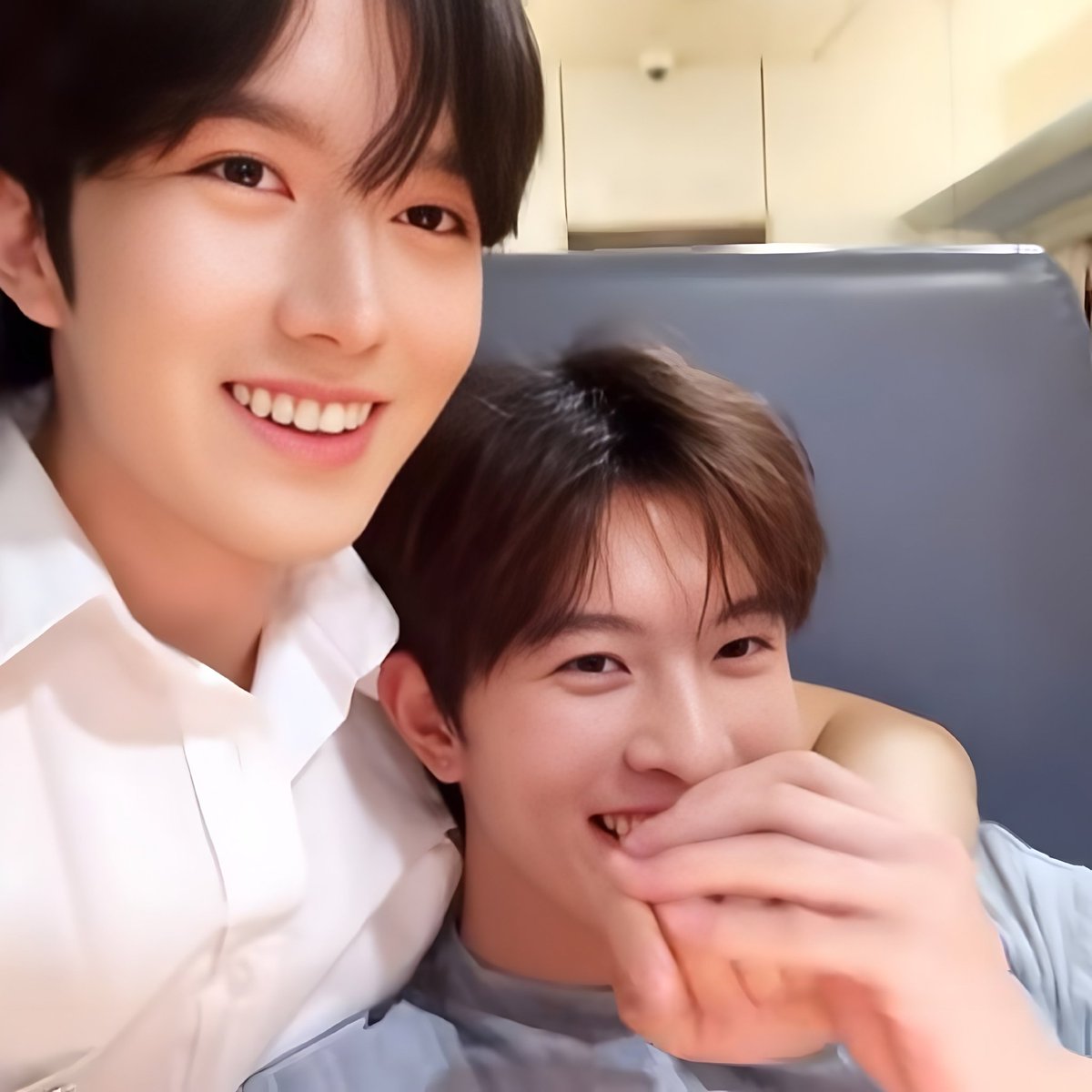 ✨XingQiu🍂 tweet media