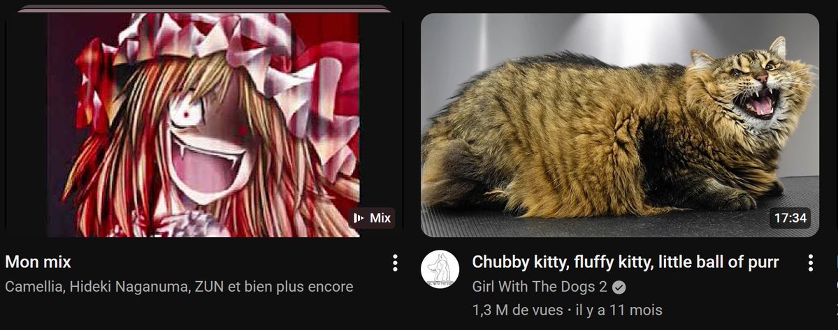 Honte Incarnée (@gofashina) on Twitter photo 