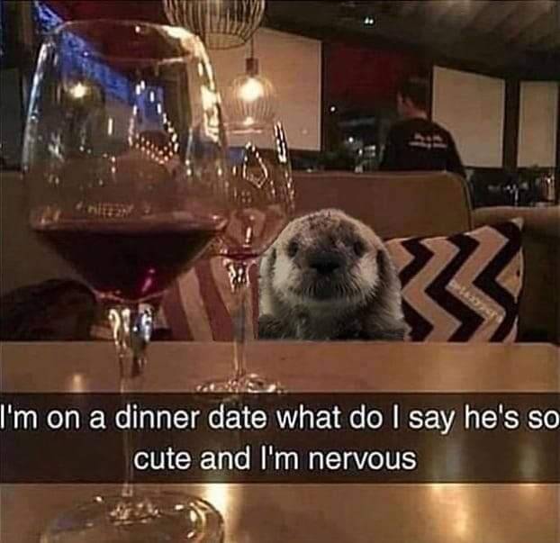 In Otter News.... tweet media