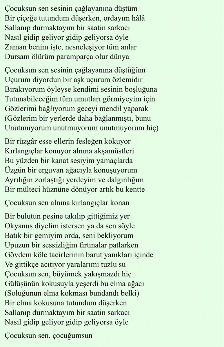 ben ve şiirim.