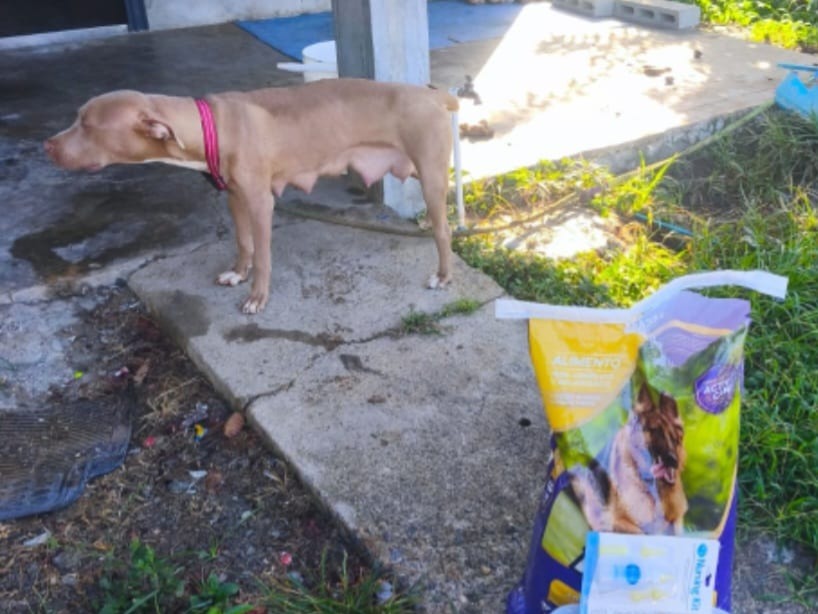 Telemetro Reporta tweet media