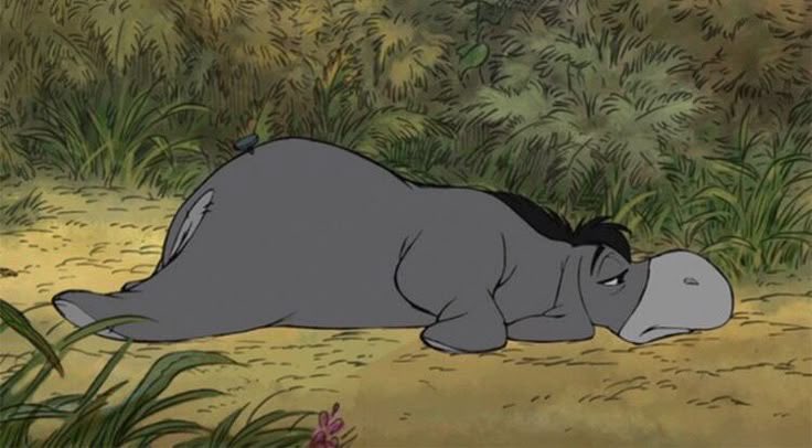 ก็มาเด้ะ !! tweet media