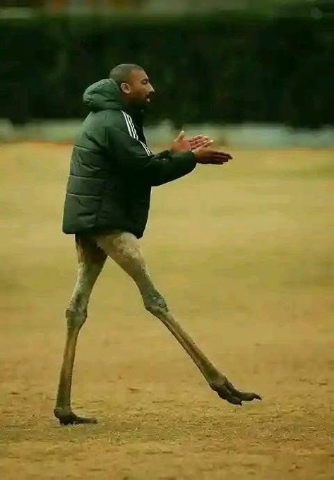 Mapaleng tweet media