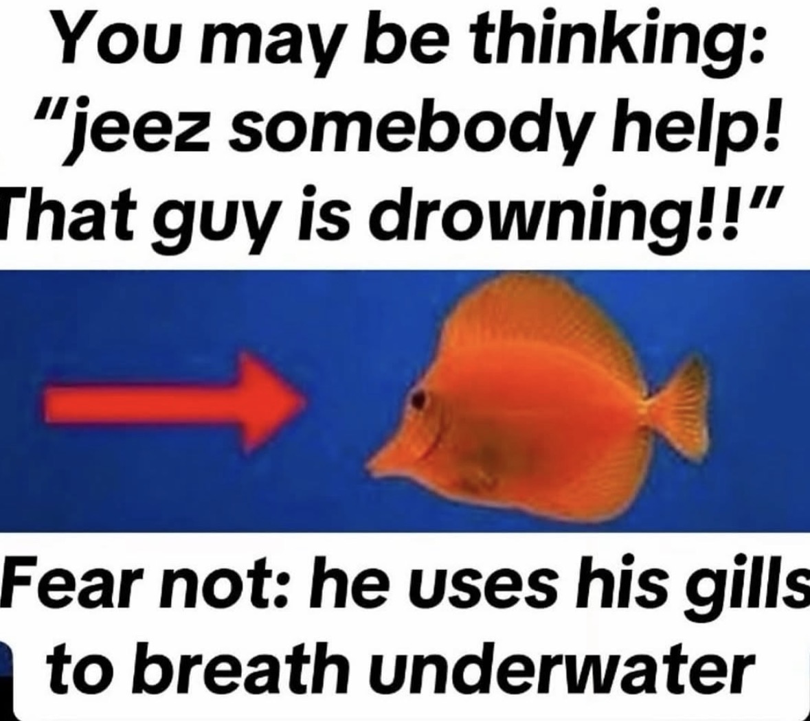 Respectful Memes tweet media