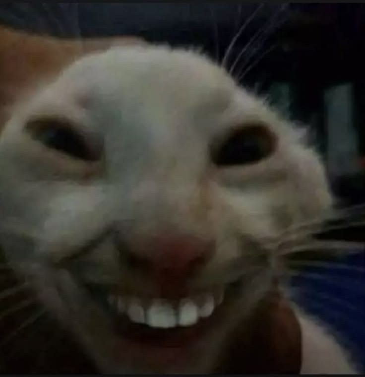 하이랄 가고싶어요 하이랄 mpc 너무 부러워요 그 아름다운 곳을 여행하고 살아간다는 것이😭 마을에서 평화롭게 산책하고싶다 아님 링크 납치해서 결혼하고싶다