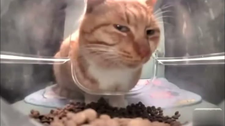 Hy_light (@blackopiumnist2) on Twitter photo 