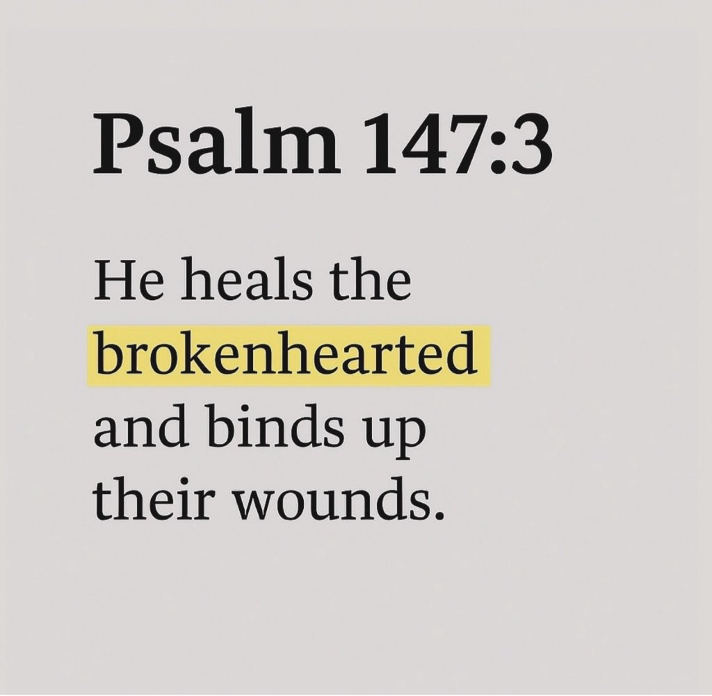 Jesvin George tweet media