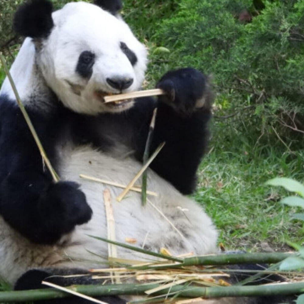 Enséñame de Ciencia tweet media
