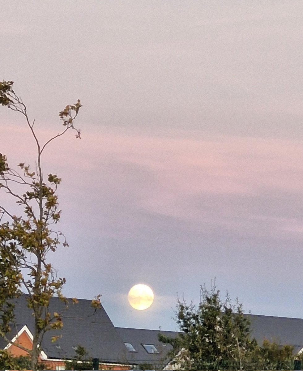 mahescbe's tweet image. #Dublin