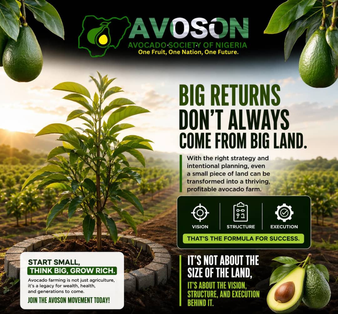 avocadosocietyn's tweet image. Start small. Think big. Grow smart.

#Agribusiness #AvocadoFarming #SmartFarming #AgricultureWealth #FarmSmart #AgriInvestment #SustainableFarming #WealthCreation #GreenBusiness #FarmToProfit