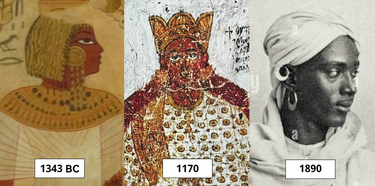 مُعدثة 🍇 tweet media