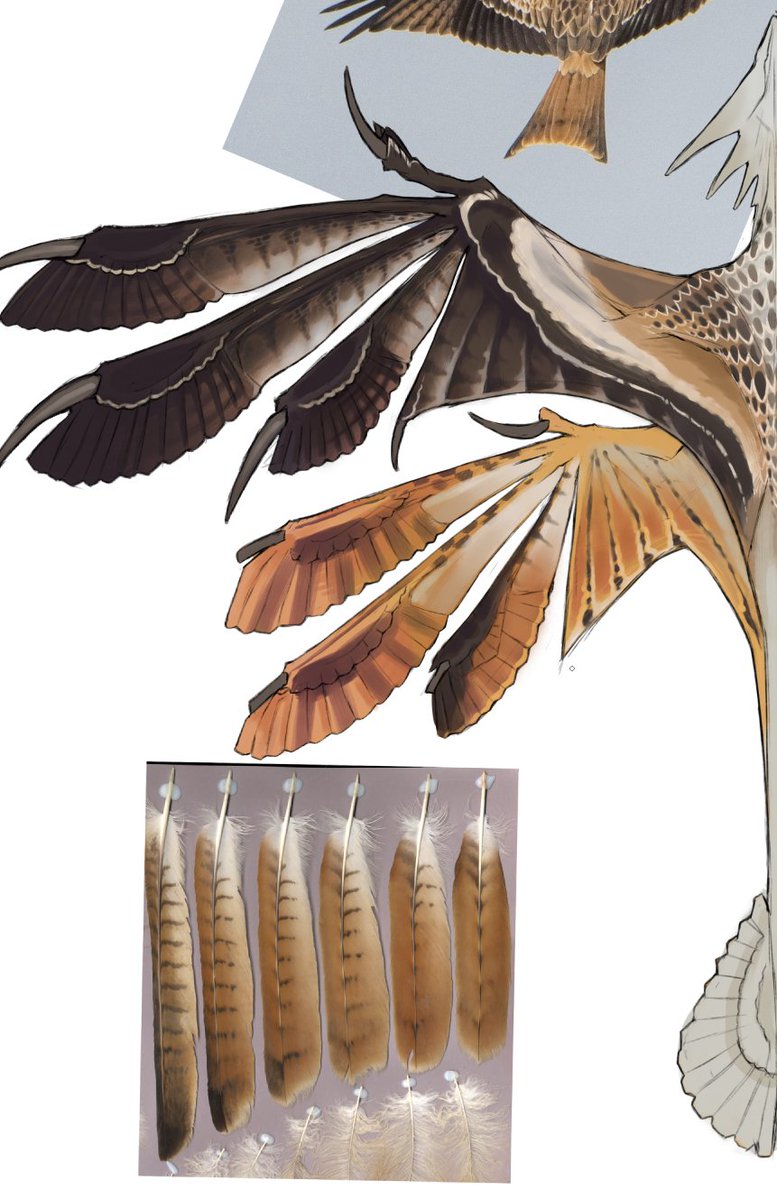 Spectrosz 👽🦃 |COMMS OPEN| tweet media