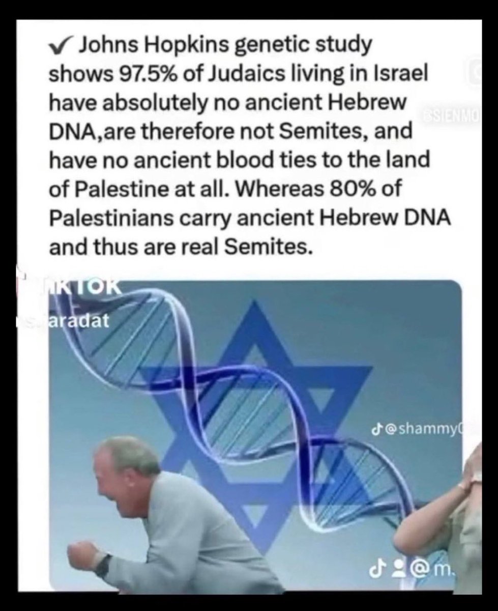 Alexandre Lepin tweet media