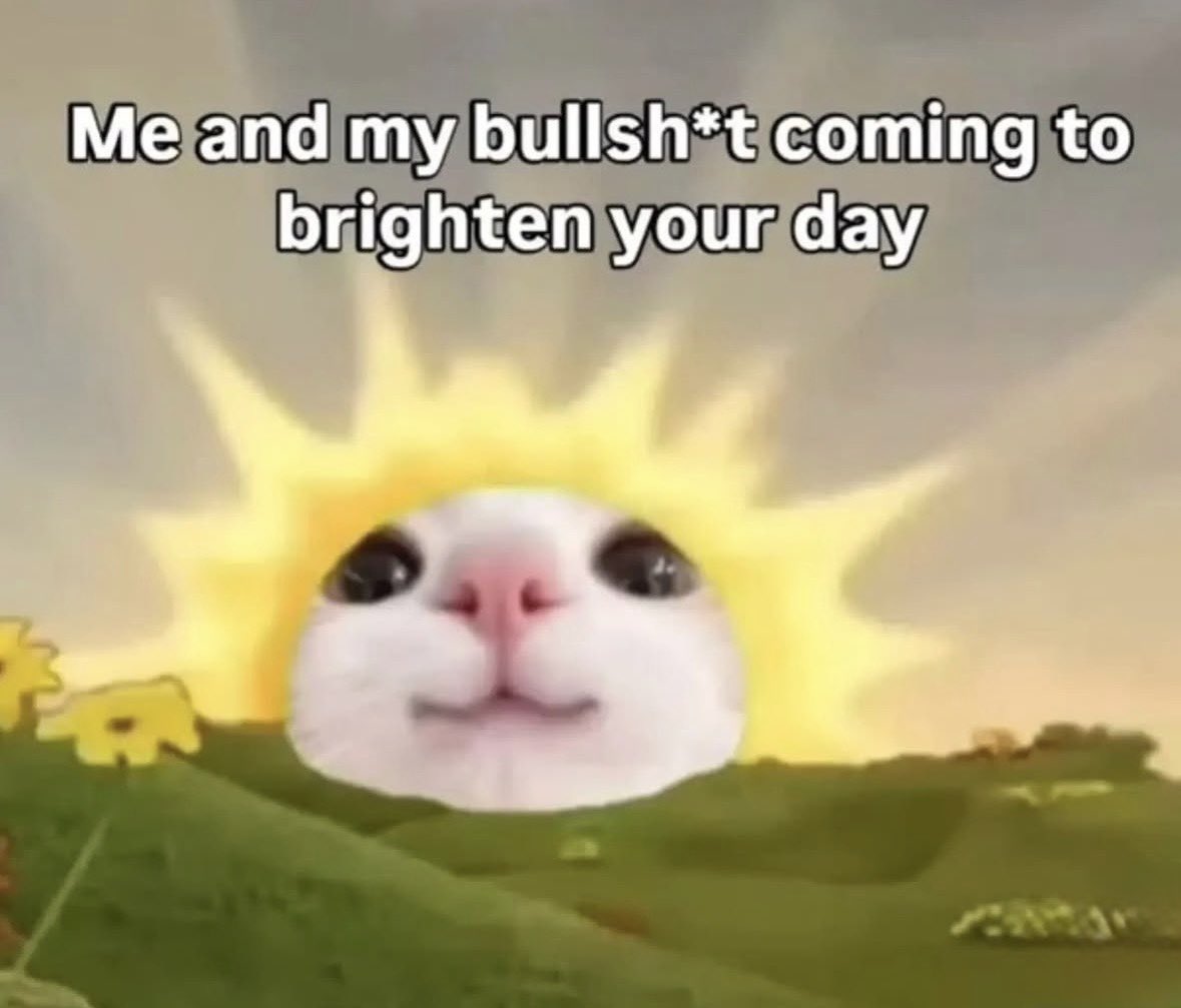 raccoon aesthetic. (@raccoonesthetic) on Twitter photo 