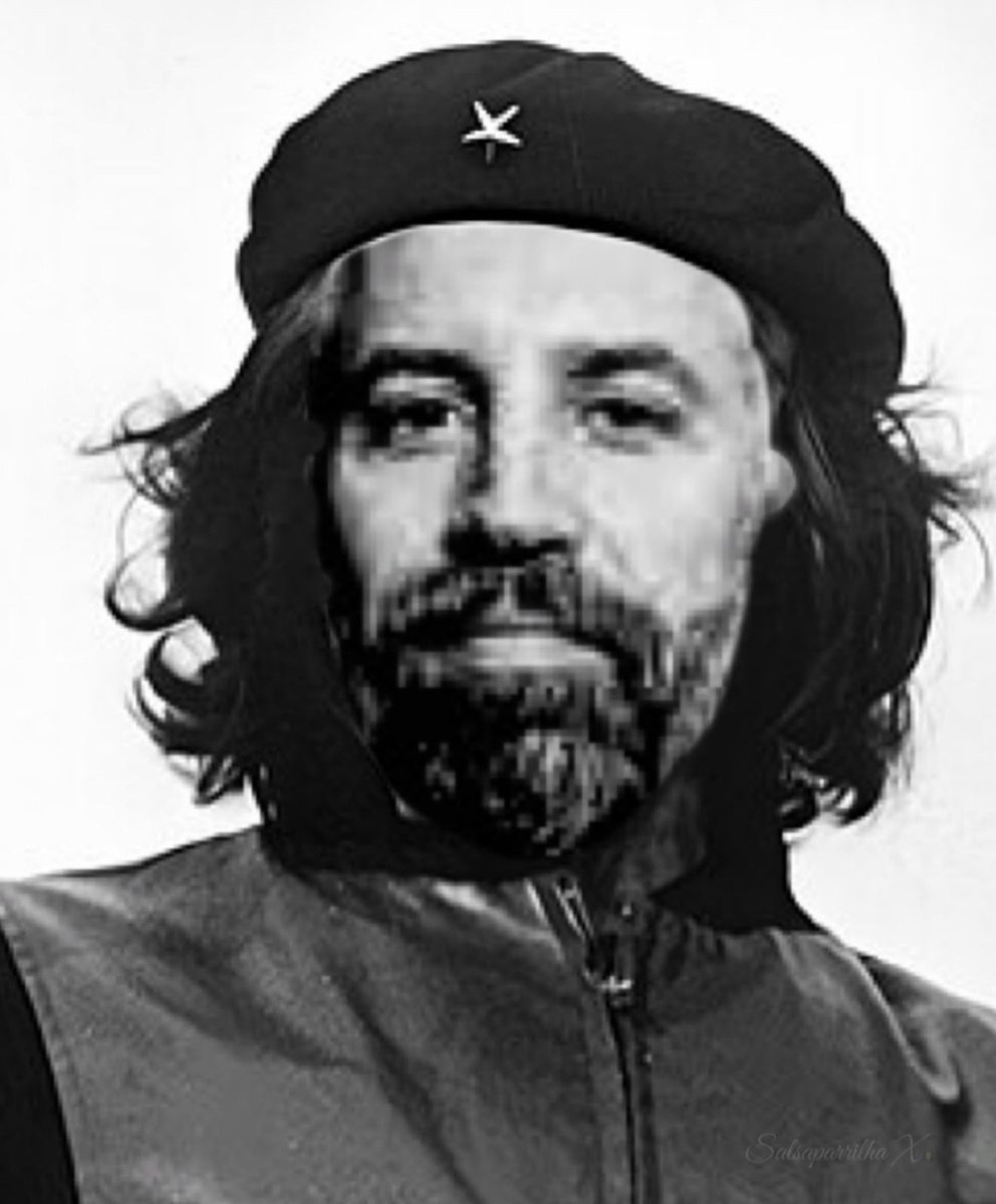 Salsaparrilha X tweet media