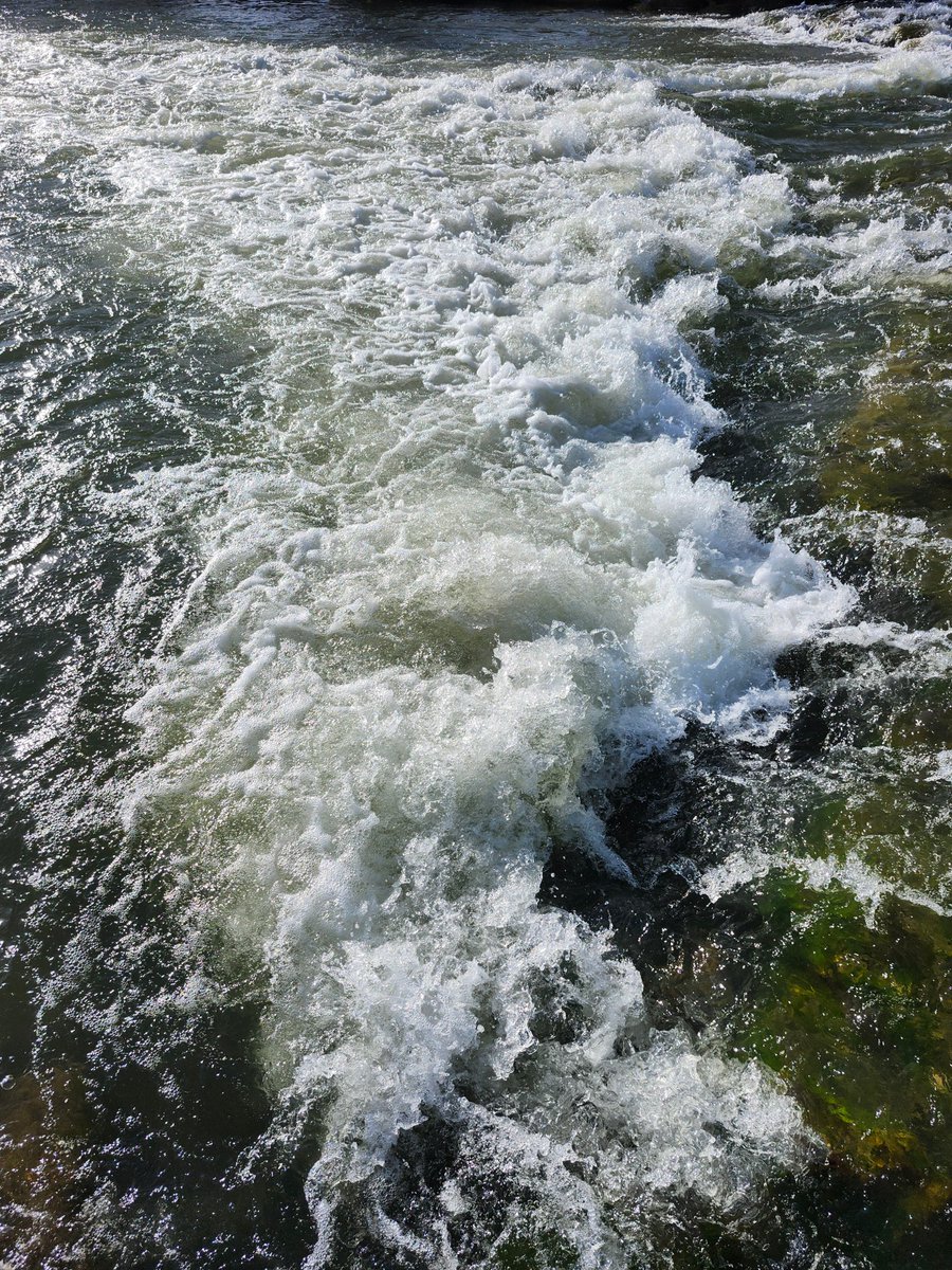 GregLionhart's tweet image. #Whitewater #River #Hiking #MyPhoto #Photography