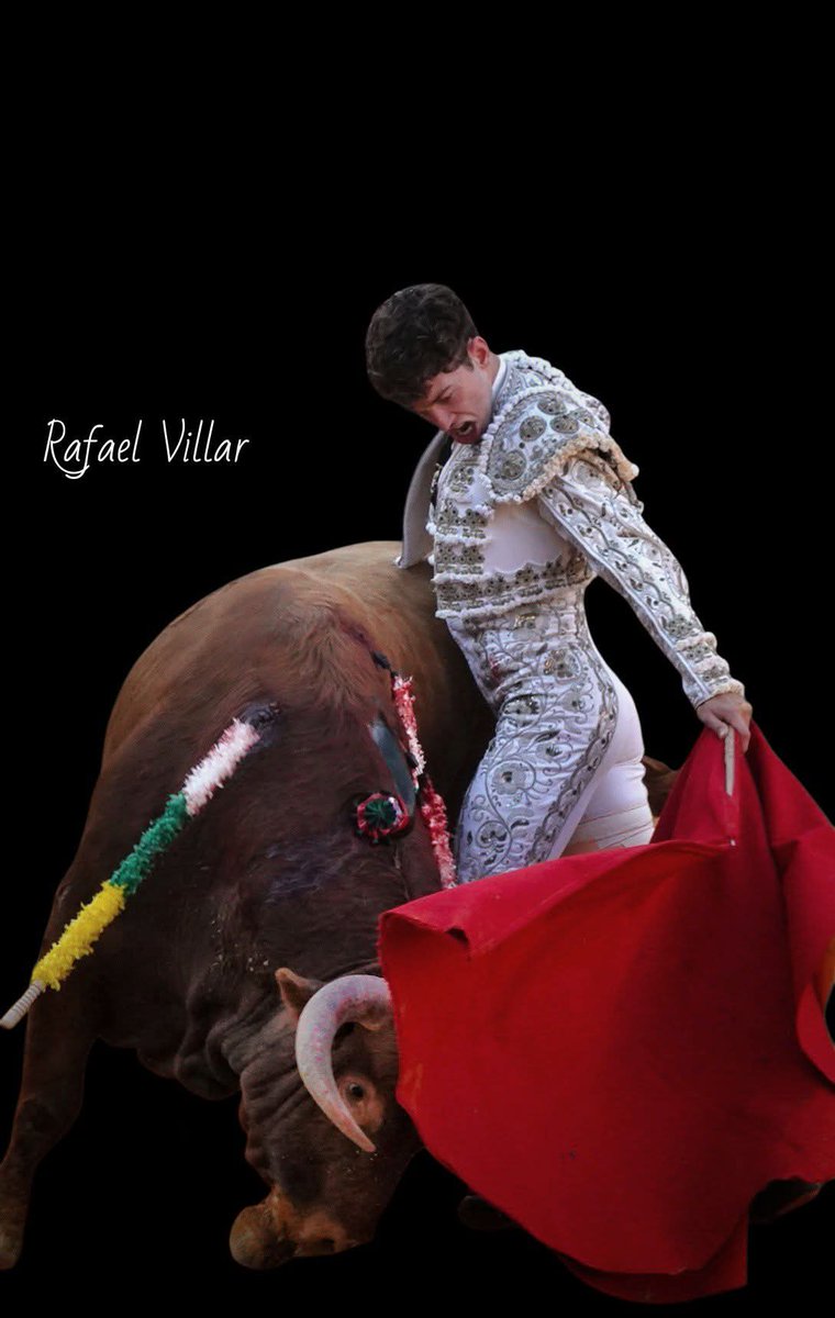 Rafael Villar Moyo tweet media