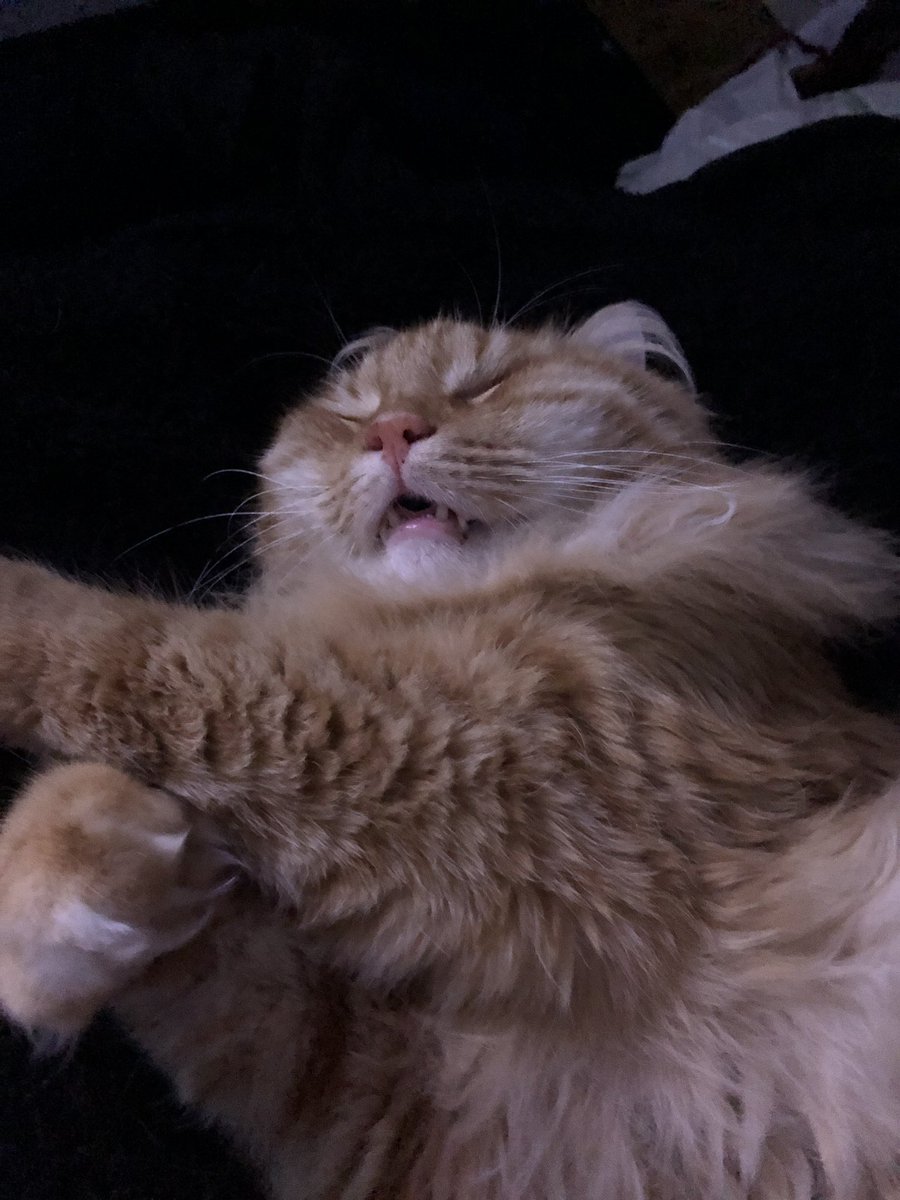 <a href="/Twilight_Horizn/">Alex || Nonbinary Killer Lover</a> Heia øre